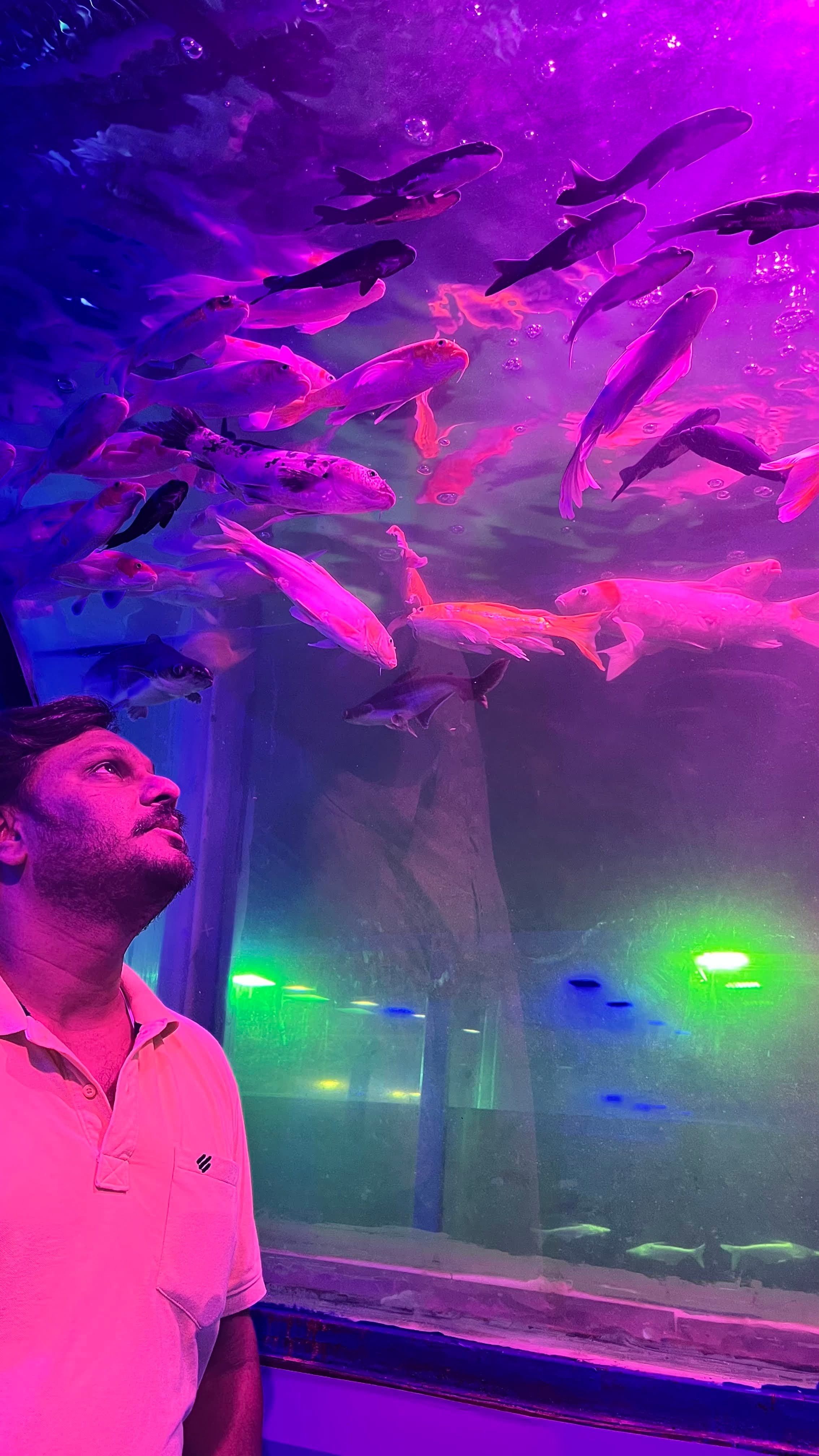 Clicked at Exhibition